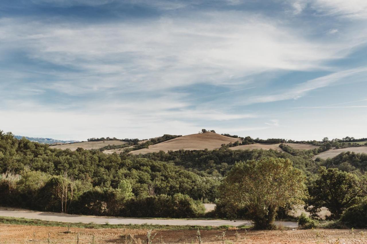 Agriturismo Podere Il Sorbo Campagnatico ภายนอก รูปภาพ